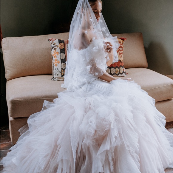 Pronovias Dresses Pronovias X Ashley Graham Tulle Wedding Dress Dry Cleaned Wedding Dress Sz